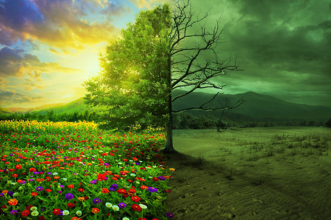 Die Menschheit auf dem Weg in einen neues Zeitalter